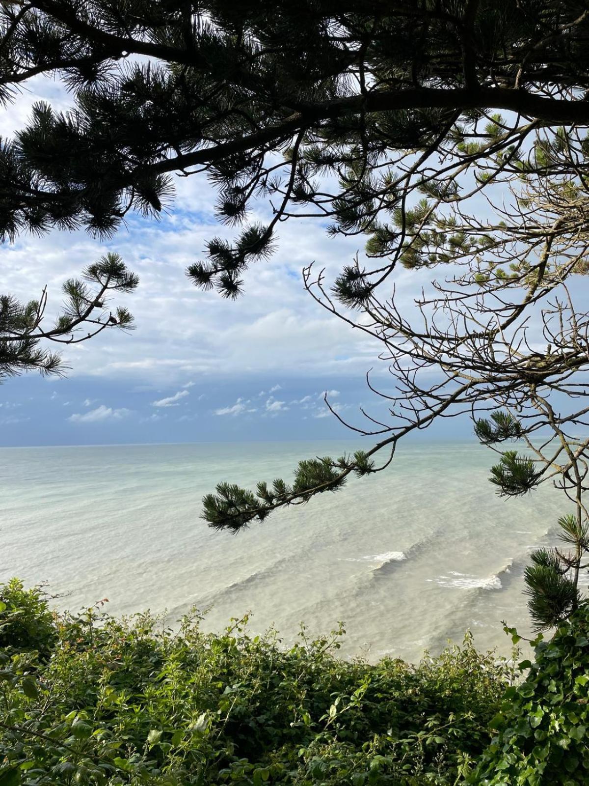 Vue Panoramique En Baie De Somme Villa