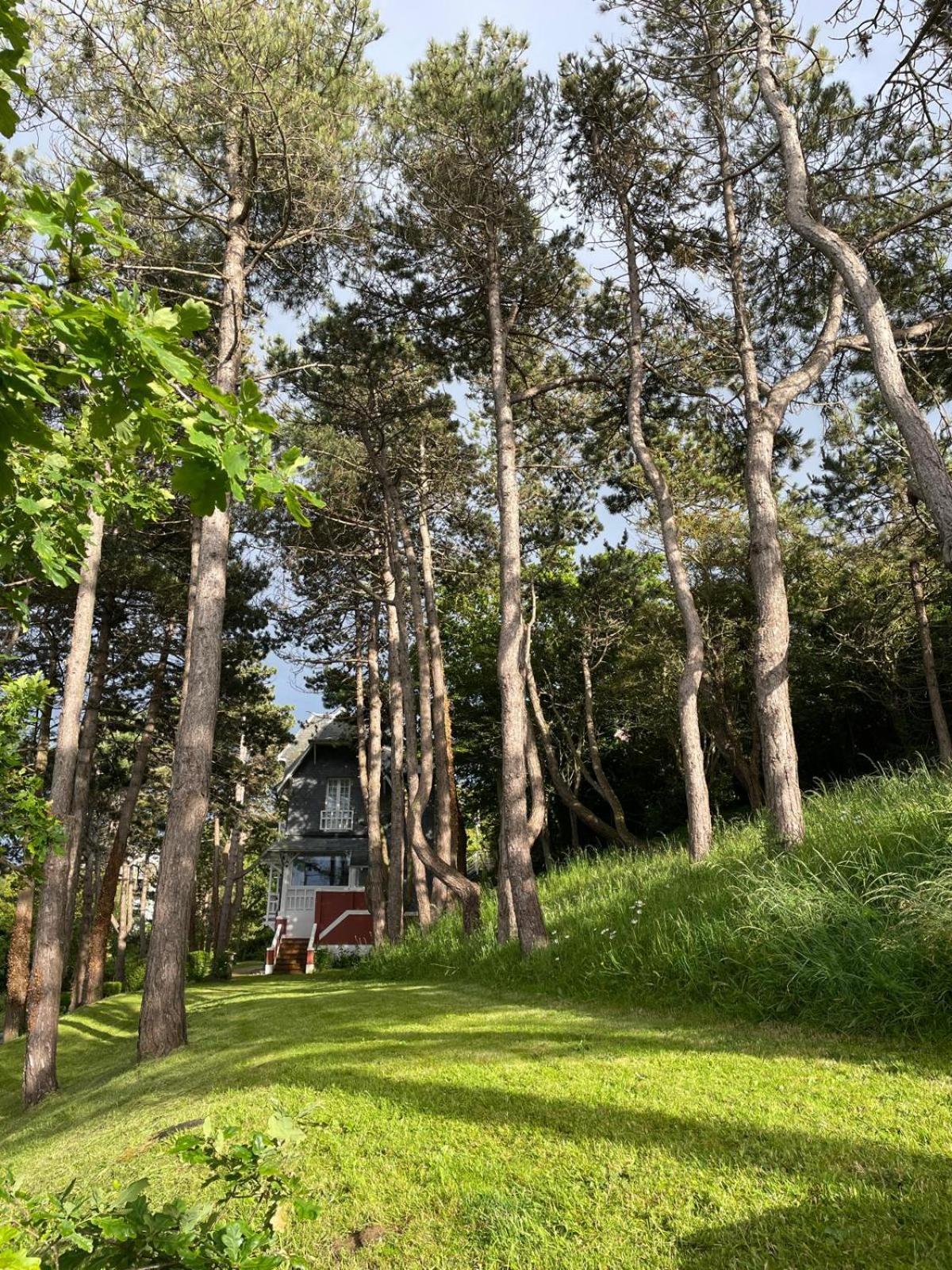 Vue Panoramique En Baie De Somme Villa Ault
