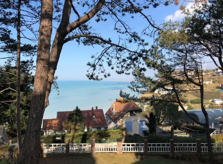 Vue Panoramique En Baie De Somme